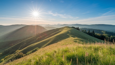 sunny hills